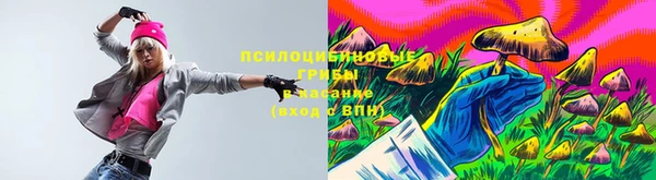 винт Рославль