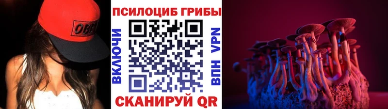 где найти наркотики  Белебей  Галлюциногенные грибы мицелий 