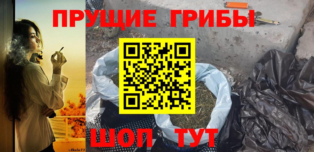 Галлюциногенные грибы мицелий  Белебей  где купить   Псилоцибиновые грибы прущие грибы 